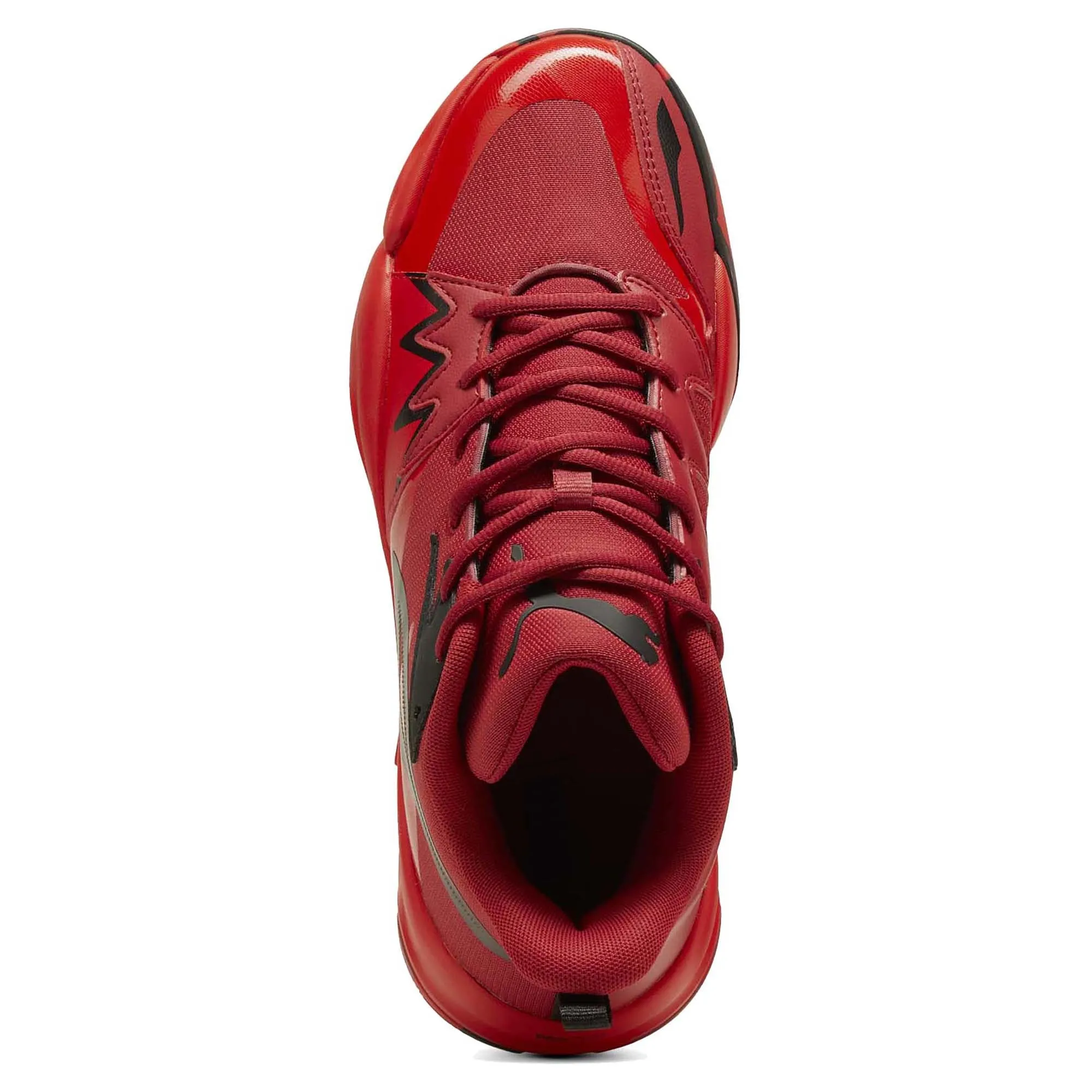 Chaussures de Basketball Homme Genetics