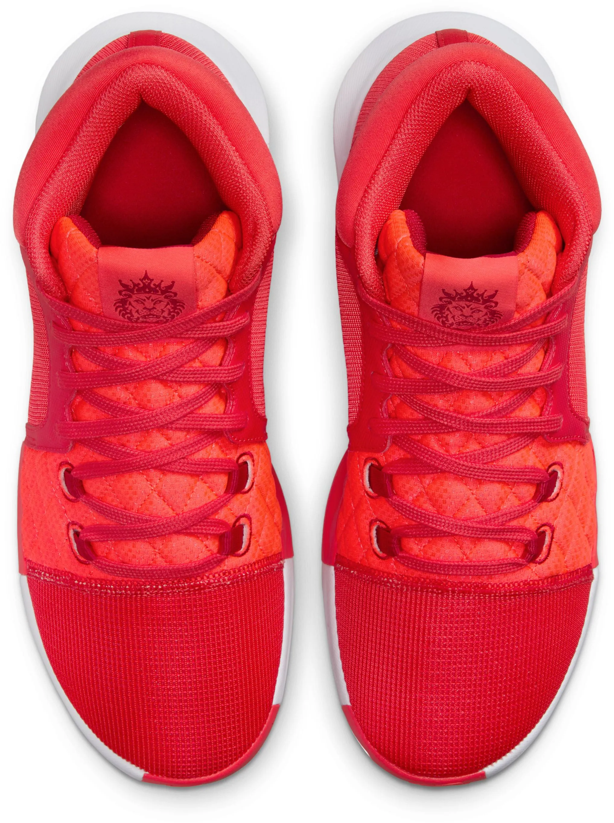 Chaussures de Basketball Homme LeBron Witness 8