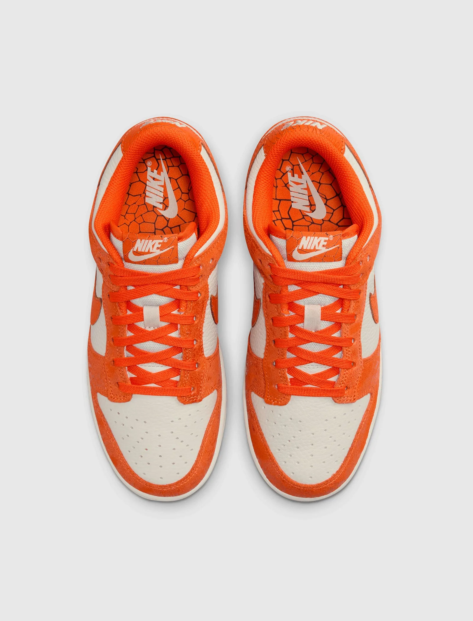 DUNK LOW POUR FEMMES 