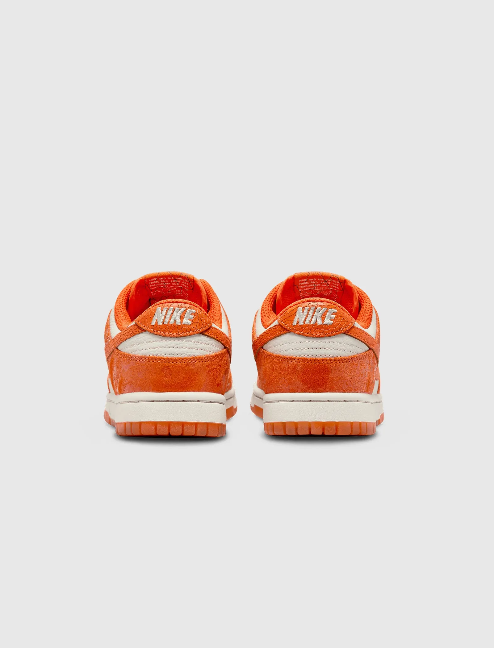 DUNK LOW POUR FEMMES 